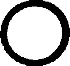 O-ring 17,3X2,4 (SOR 9)